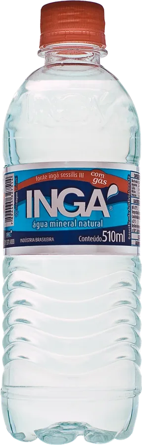 Ingá Com Gás 510ml